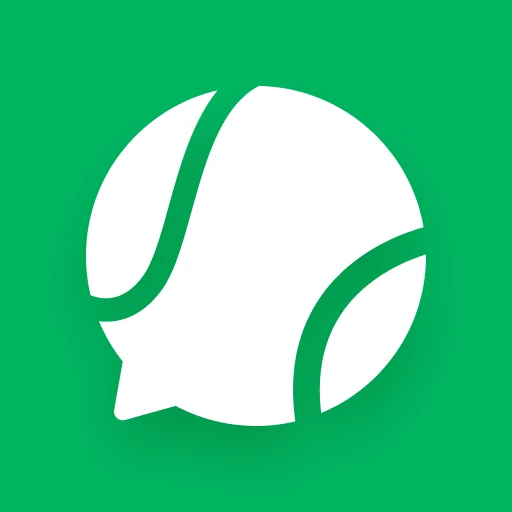 Playo logo
